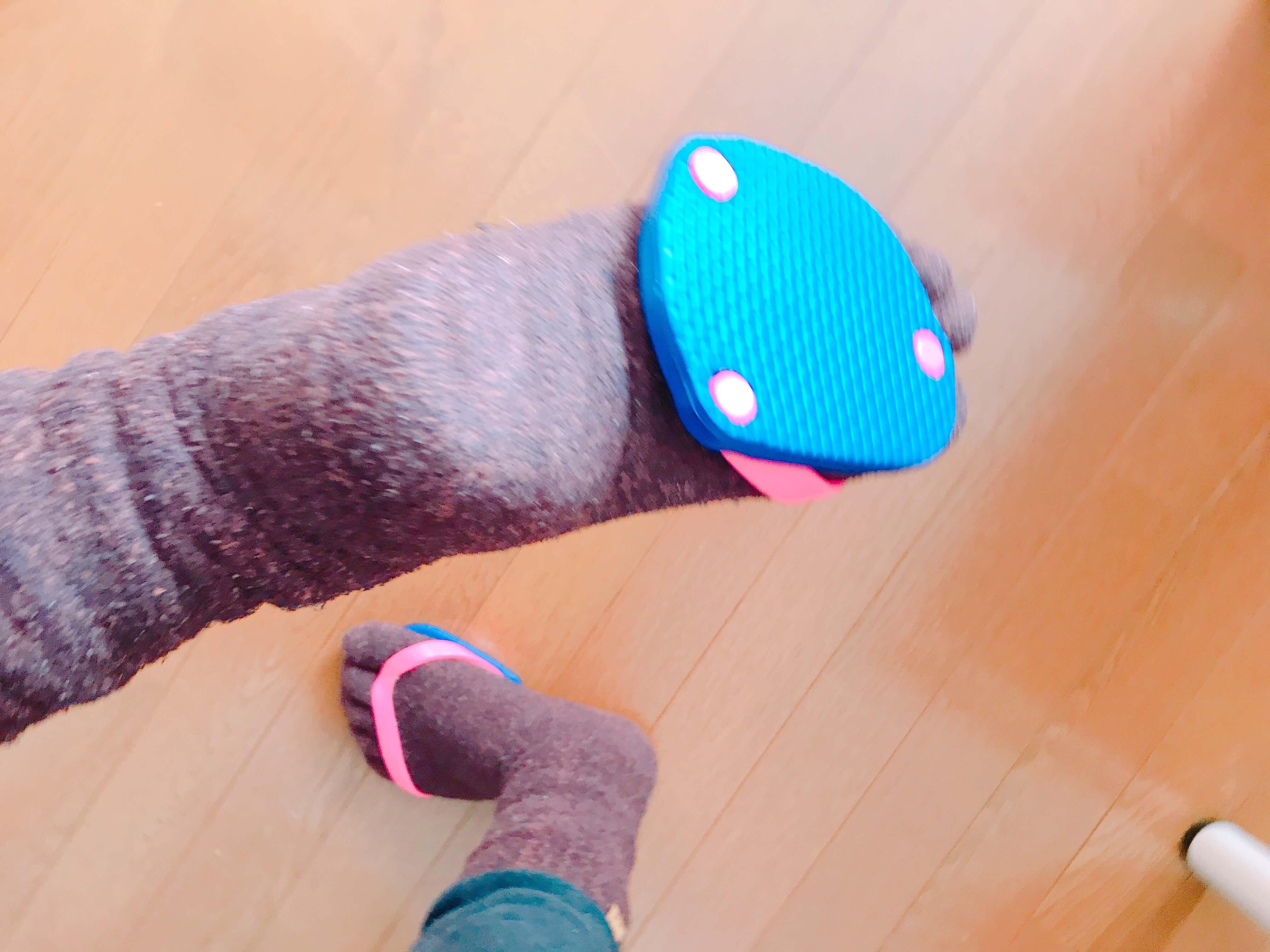 山田式・足半ダイエットの足半を実際に履いてみた